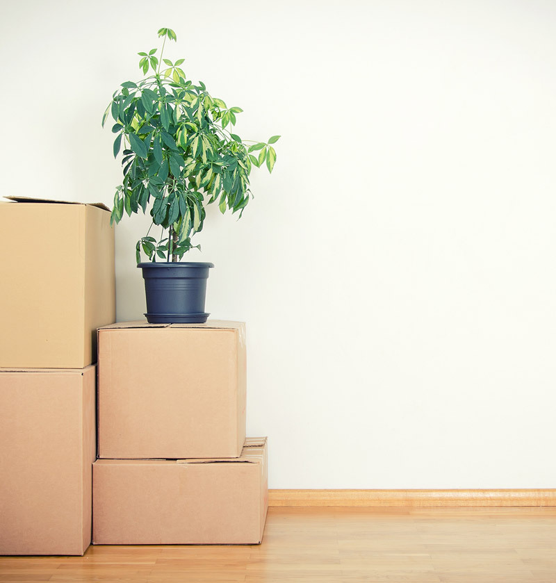 Moving house